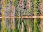 Autumn reflections of trees on Lake Sfânta Ana's tranquil waters in Romania.